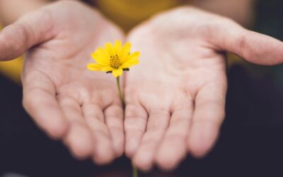 CARITAS: Raccolta alimentare e donazioni